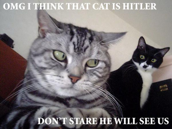 cat_is_hitler-1606.jpg